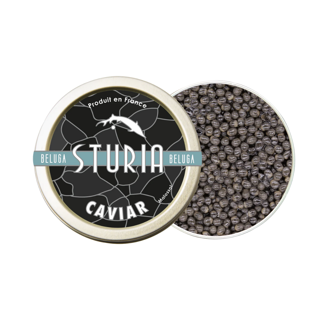 Caviar Beluga - vue 2 - Sturia - Caviar Les Épicurieuses